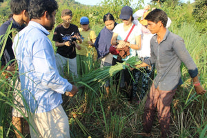 Why chemical-free farming is not a trend, but a necessity