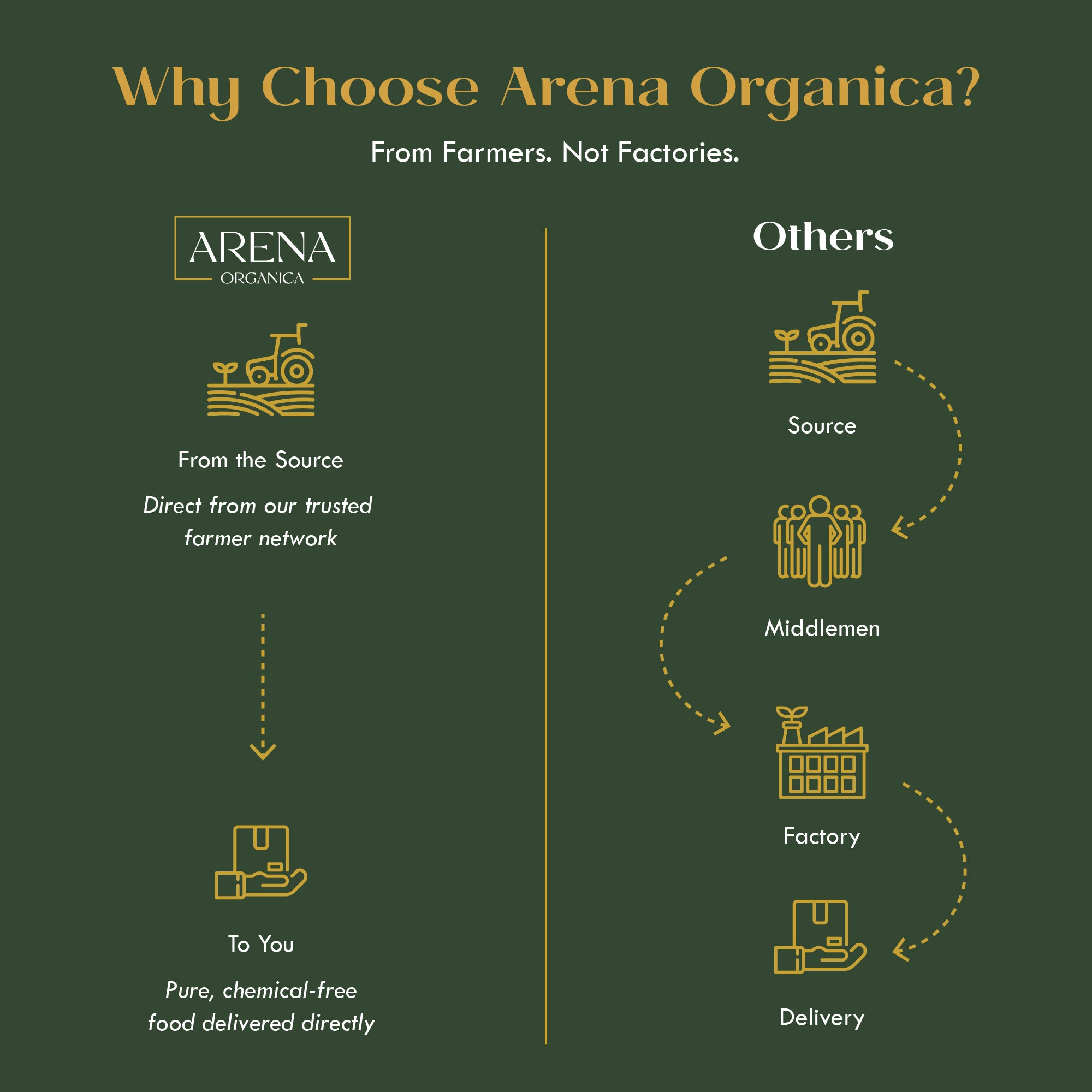 Pure Himalayan Shilajit Resin- 20 gm