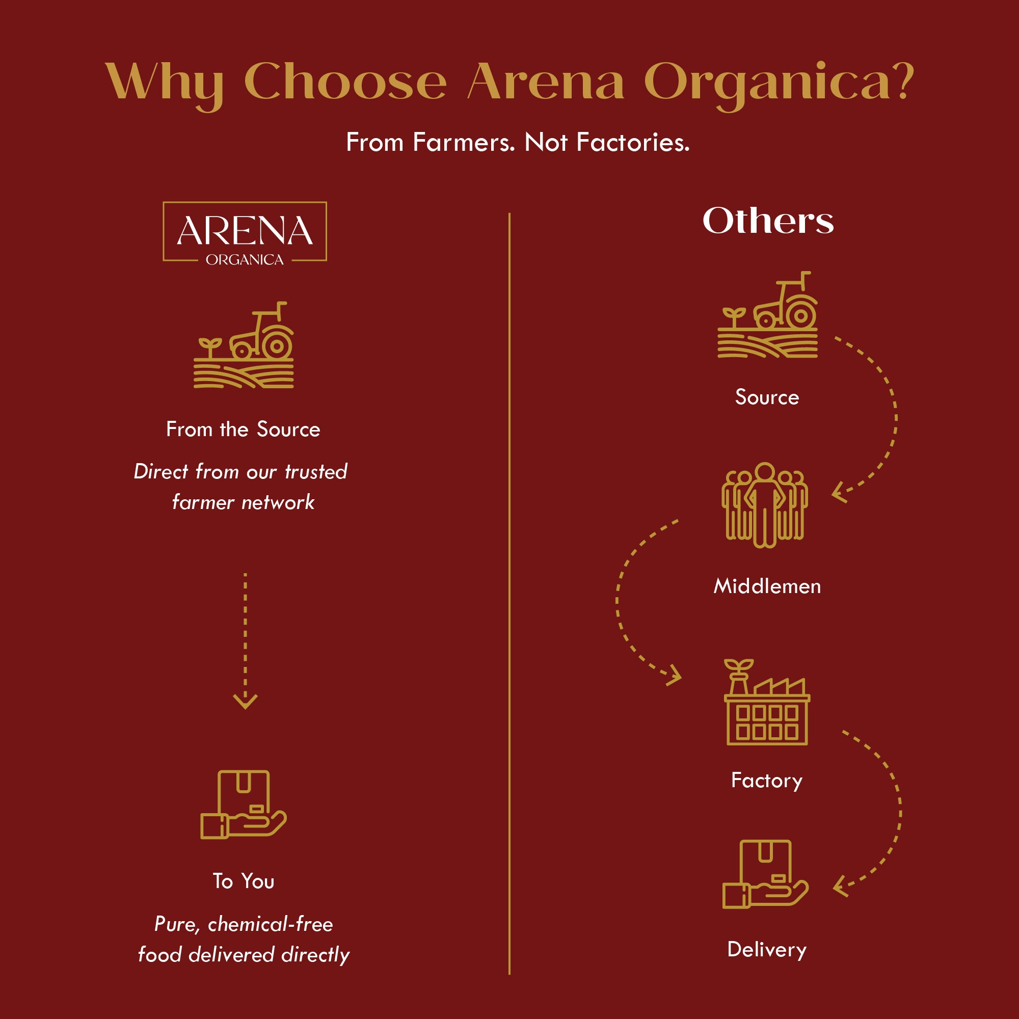 Arena Organica Original Kashmiri Mongra Saffron (1g) | GI Tagged | ISO 3632 Tested | Grade A+++ Kesar for Pregnant Women, Biryani, Pooja & Gifting