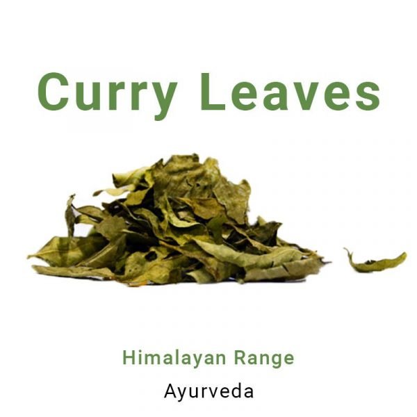 Curry Leaves - करी पत्ते